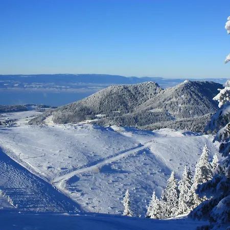Les Skieurs