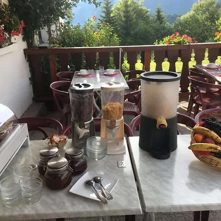 Hotel Les Skieurs