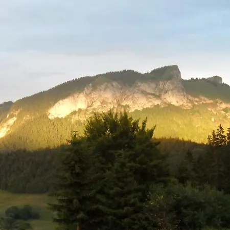 Les Skieurs