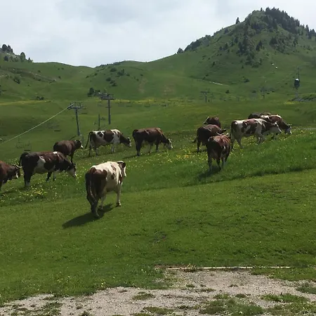 Les Skieurs Bellevaux